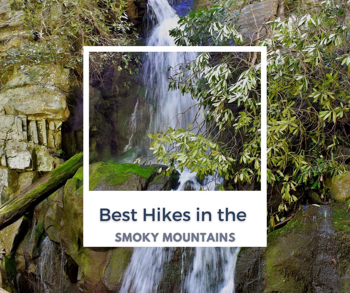 Best Hikes In The Great Smoky Mountains National Park