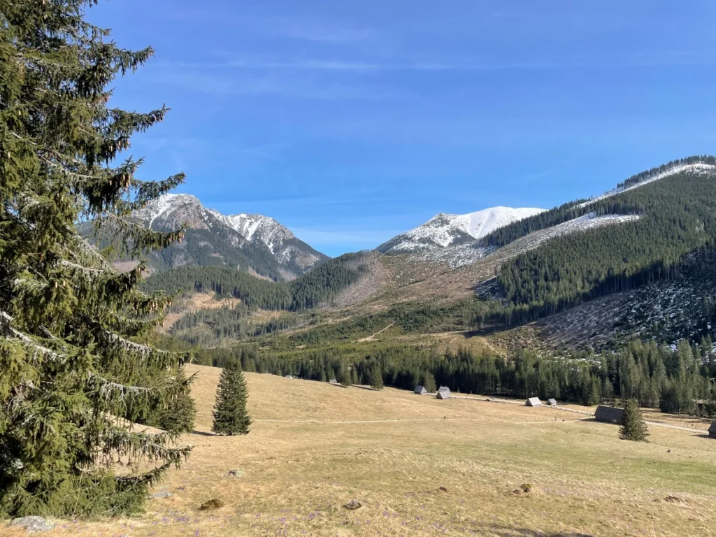 Tatra Mountains Chocholowska Valley view