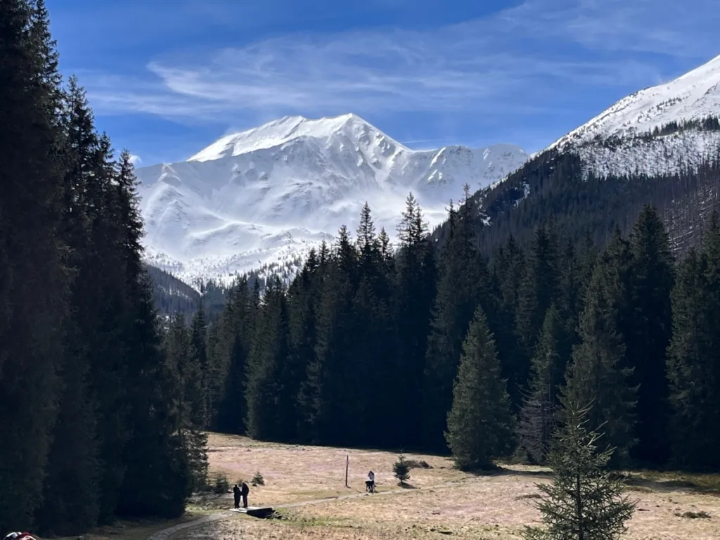 Koscieliska Valley Tatra Mountains view from Mountain Lodge