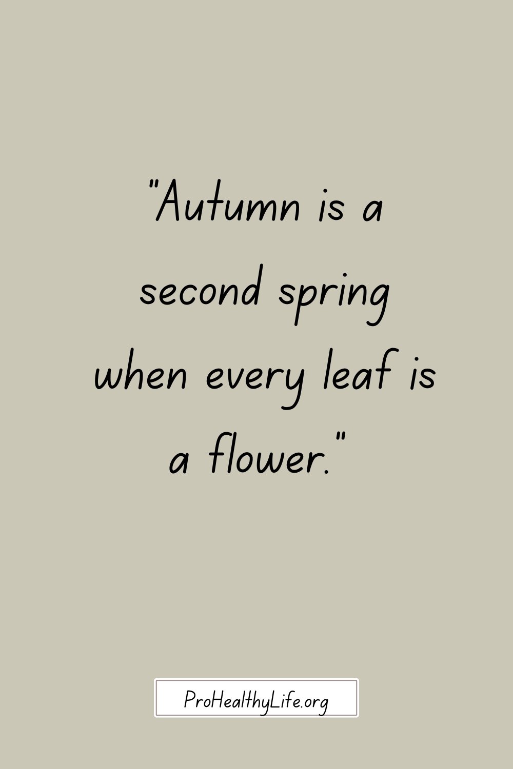 71 Cute and Funny Fall Quotes for Instagram