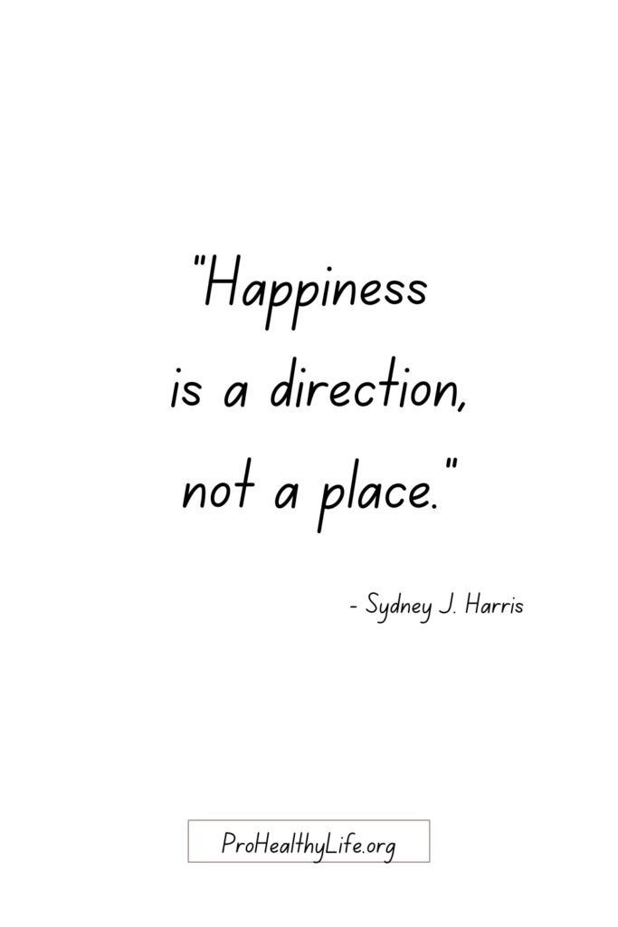 Happiness is a direction not a place