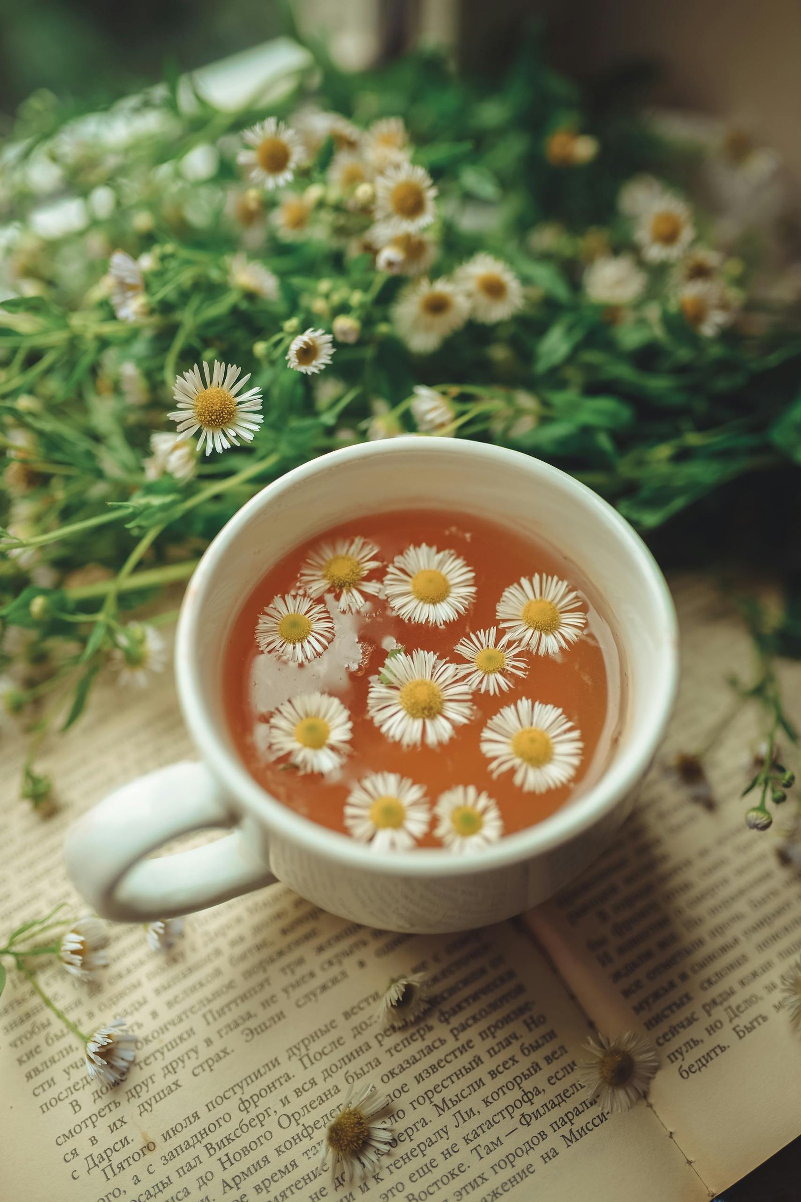 Cup of chamomile tea with fresh chamomile flowers on an open book, creating a serene and soothing scene.