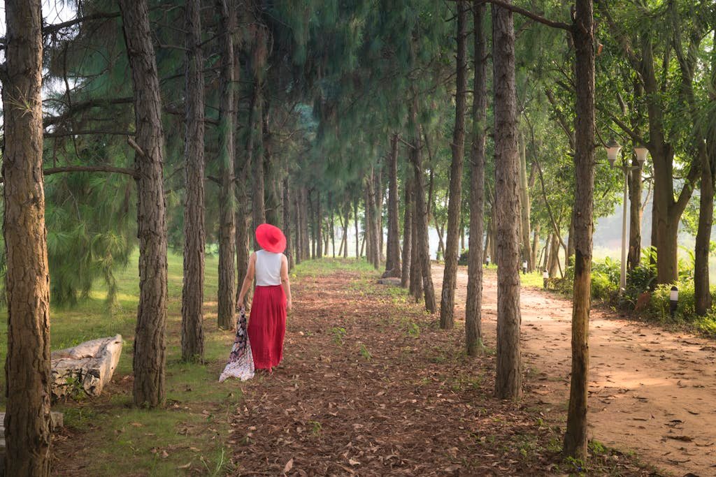 A serene scene of a woman in red walking down a forested trail, surrounded by tall trees.