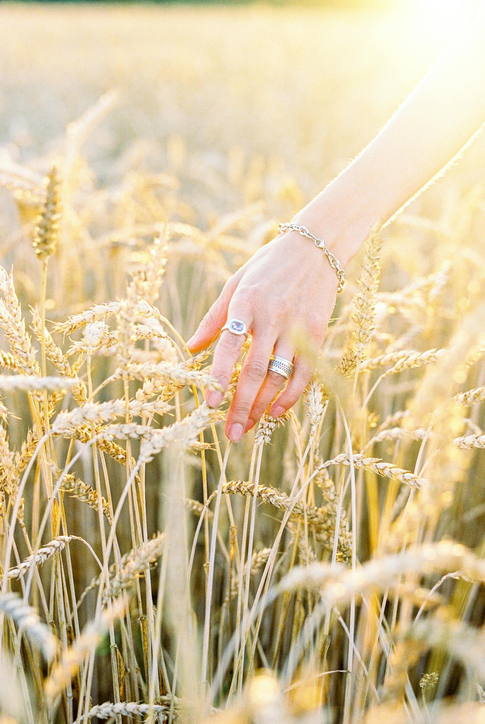 A hand gently touches golden wheat spikes in a sunlit summer field, capturing the essence of rural tranquility.