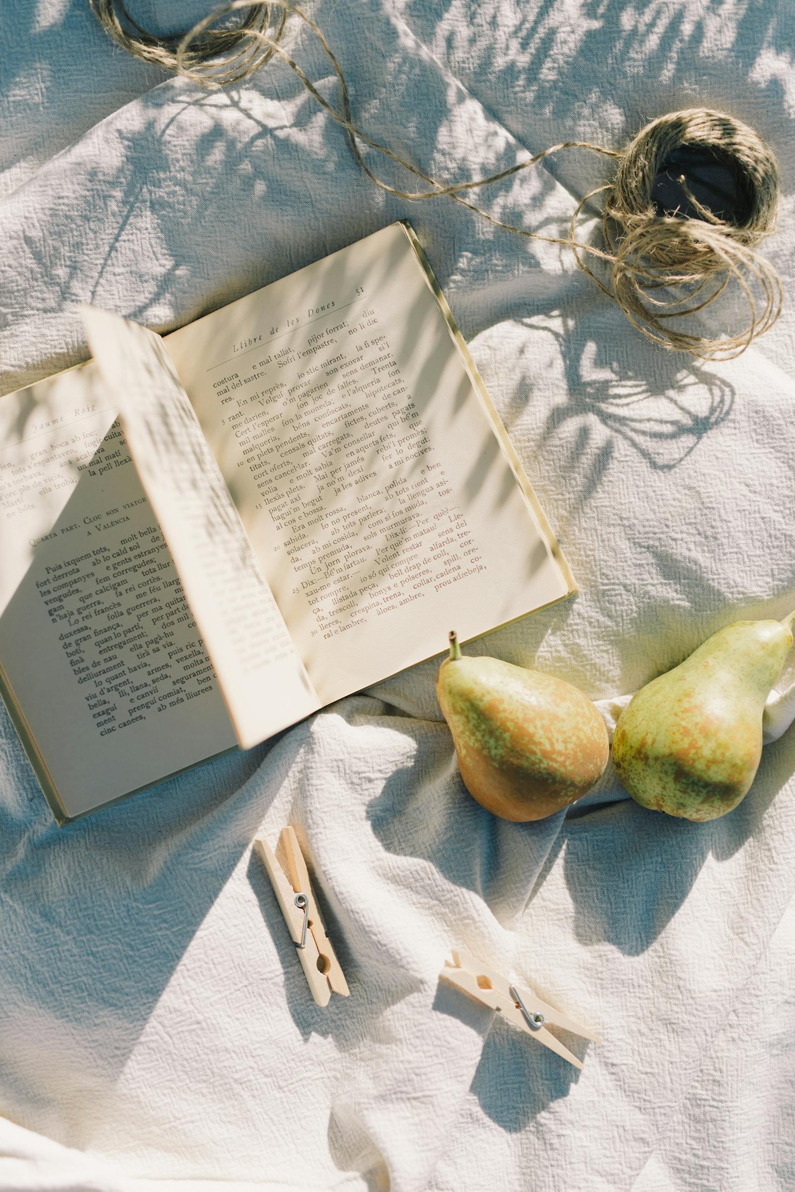 A rustic flat lay featuring an open book, pears, clothespins, and rope on a light blanket. Self-love habits