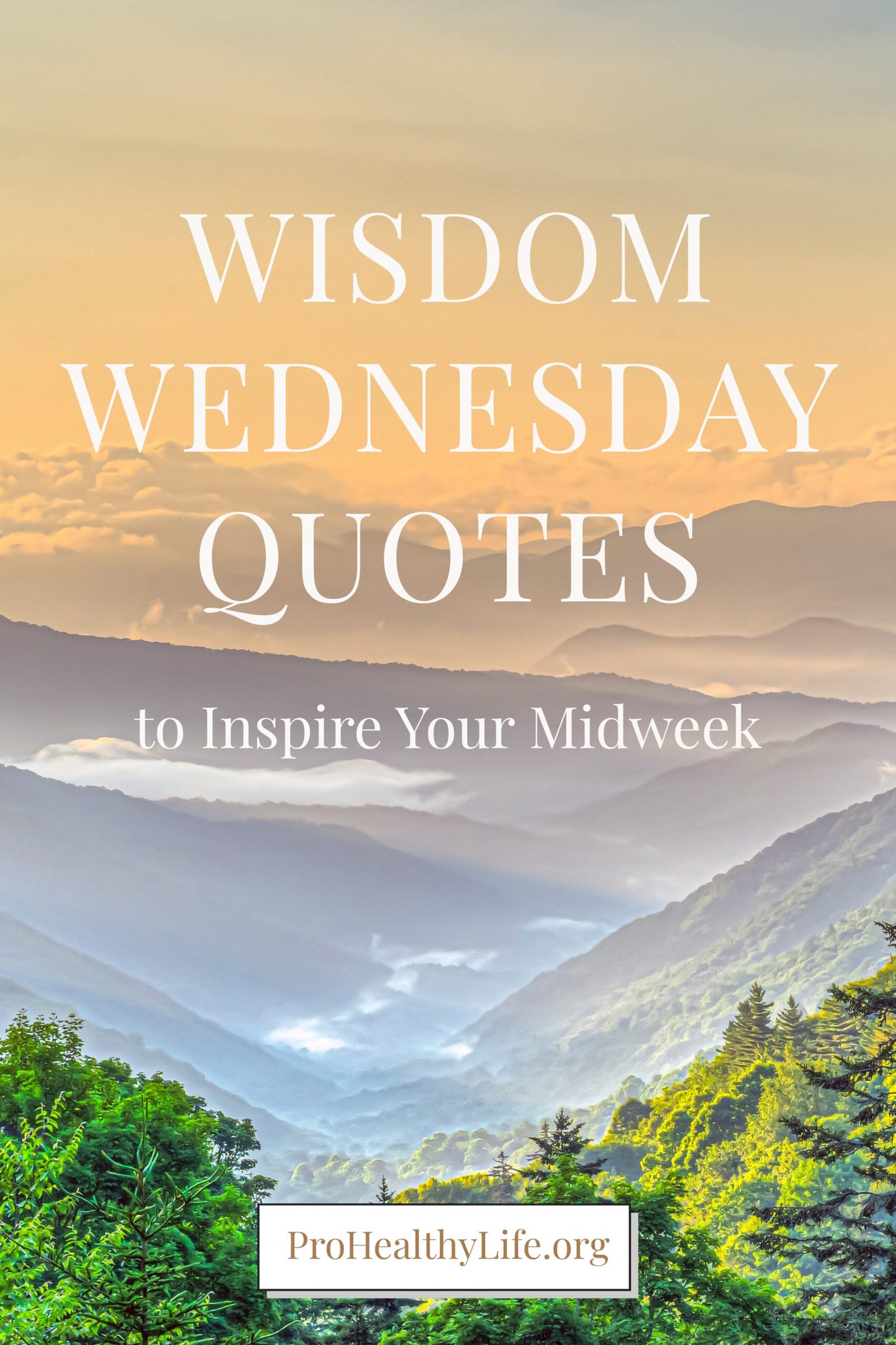 Wisdom Wednesday Quotes to Inspire Your Midweek